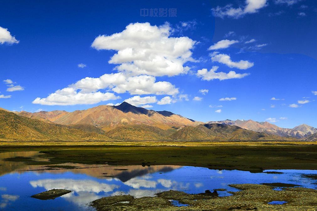 ��ҳ| ����ᡤjnh�й��ٷ���վ